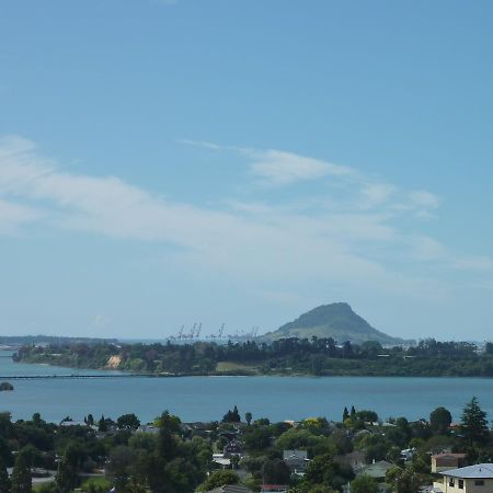 Up In The Stars B&B Tauranga Extérieur photo